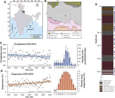 Vegetation History in a Peat Succession Over the Past 8,000 years in the ISM-Controlled Kedarnath Region, Garhwal Himalaya: Reconstruction Using Molecular Fossils